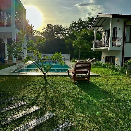 Finch Tangalle Bagian luar foto