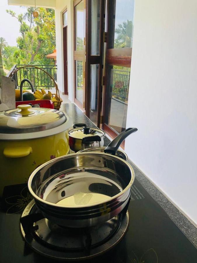 Finch Tangalle Bagian luar foto
