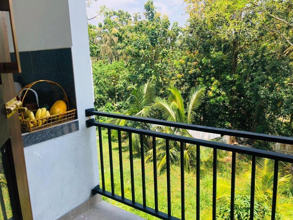 Finch Tangalle Bagian luar foto