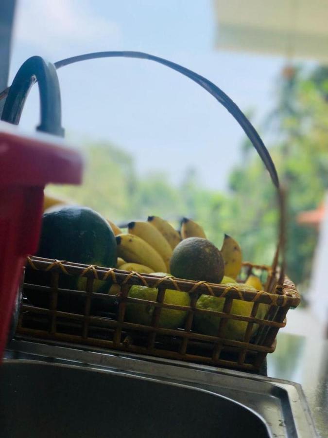 Finch Tangalle Bagian luar foto
