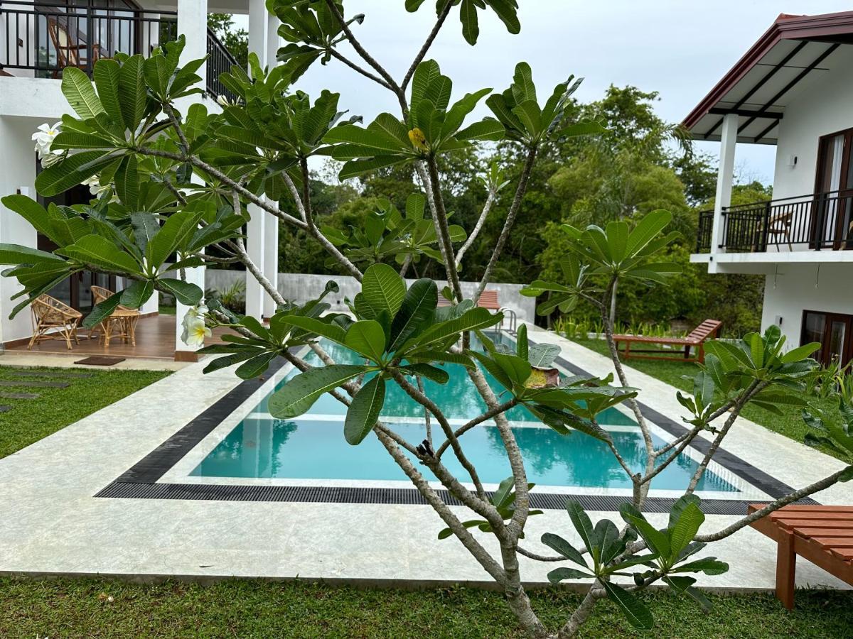 Finch Tangalle Bagian luar foto