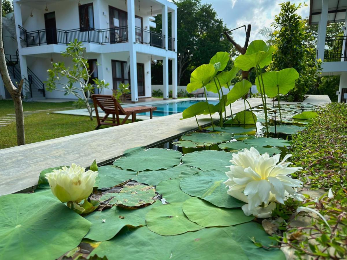 Finch Tangalle Bagian luar foto